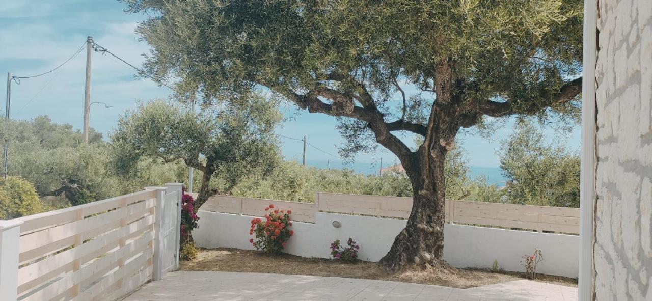 Villa Zante Avia Planos  Bagian luar foto